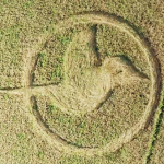 Crop circle near Brandenburg, Germany.  August 2015